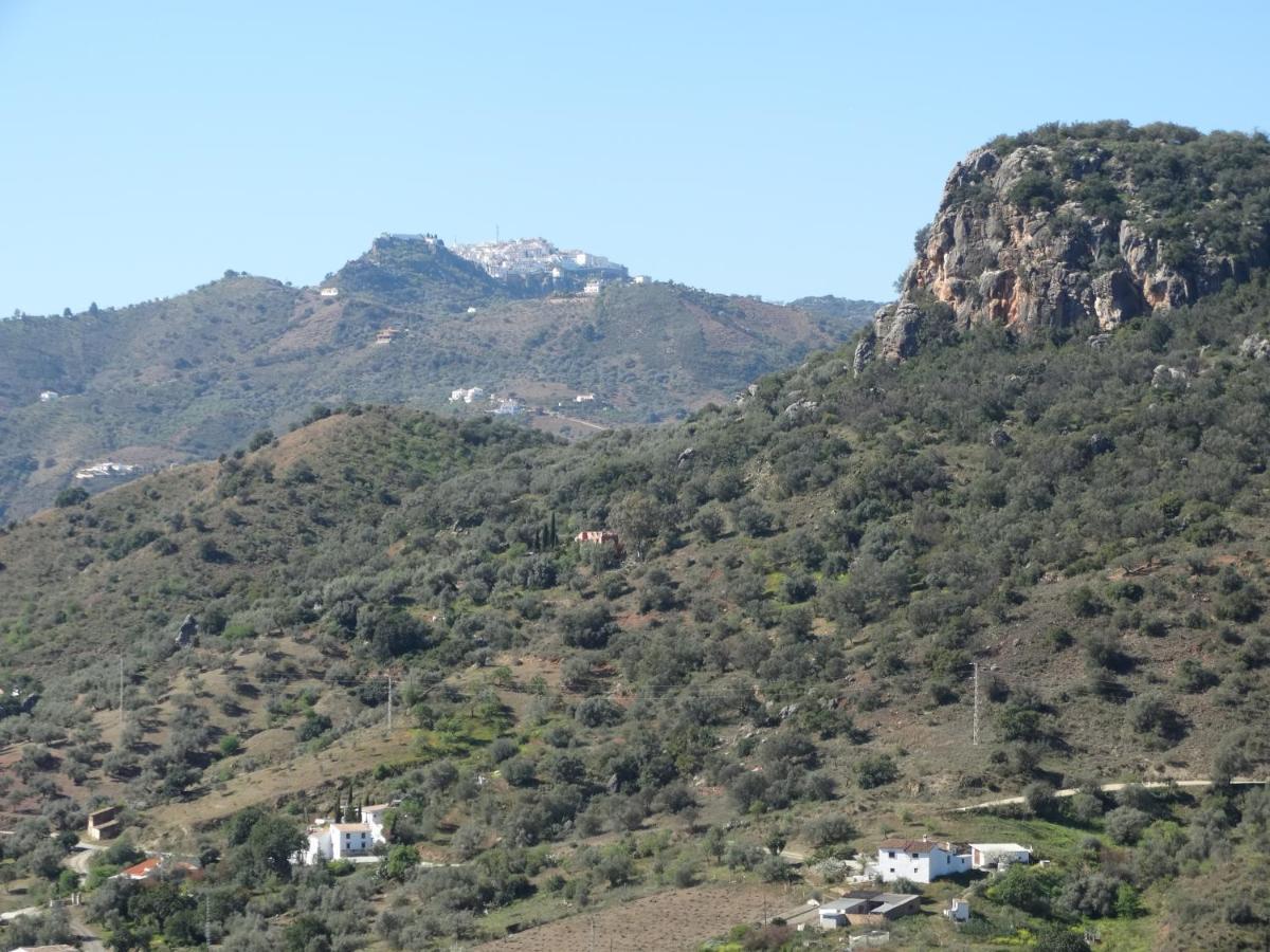 B&B Cortijo Loma Leon Cutar Exterior foto
